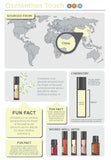 doTERRA Osmanthus Touch Roll-on
