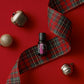 doTERRA Winterberry holiday photo 1