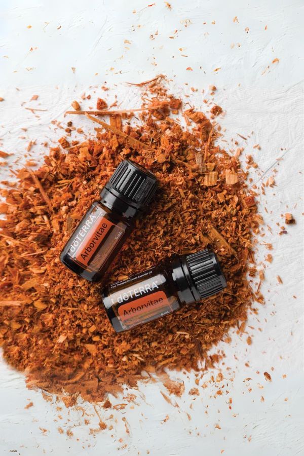 doTERRA Arborvitae Essential Oil | dōTERRA Essential Oils – Home