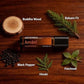 A bottle of doTERRA Amavi Essential Oil Blend is displayed on a dark wooden background, surrounded by labeled ingredients: Buddha Wood, Balsam Fir, Black Pepper, Hinoki, and Patchouli. doTERRA Amavi Touch Roll-on