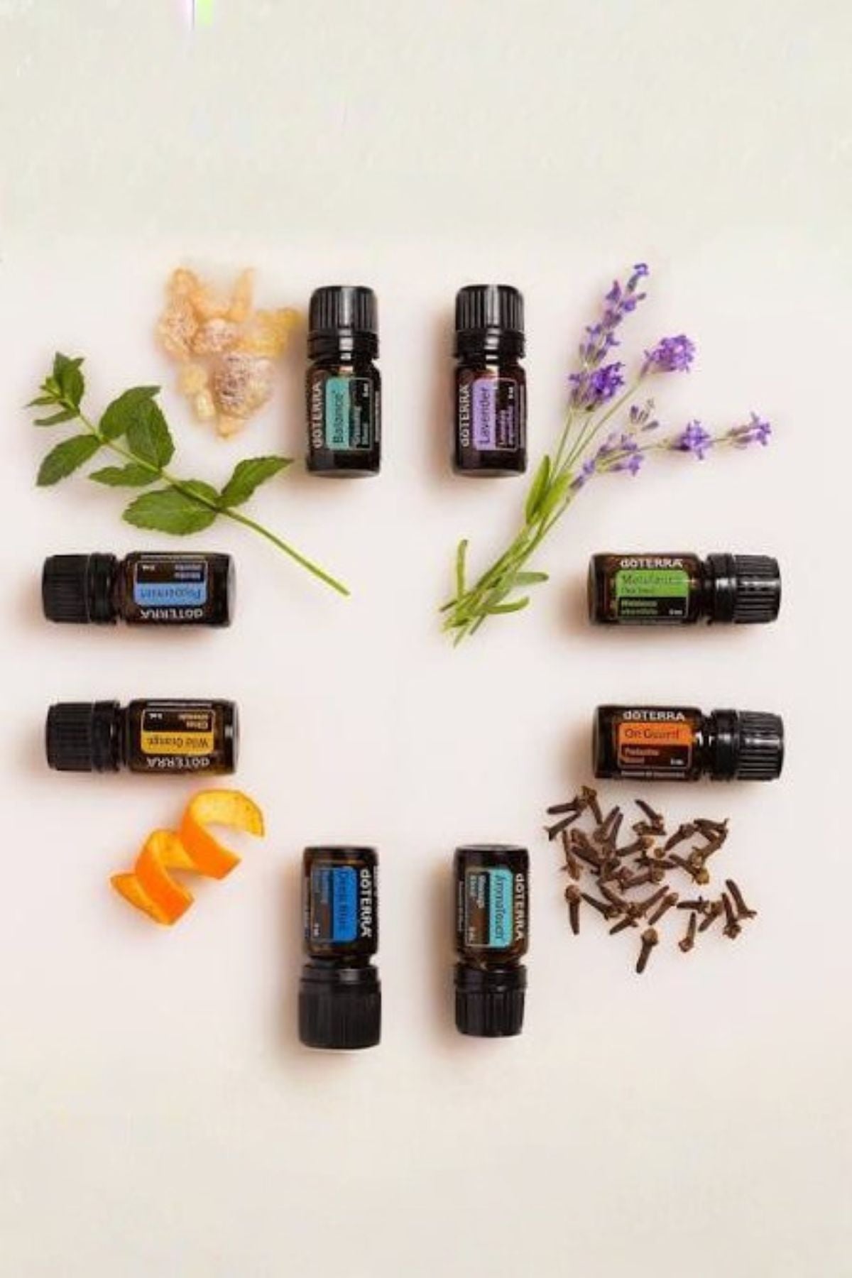 dōTERRA AromaTouch Diffused Kit