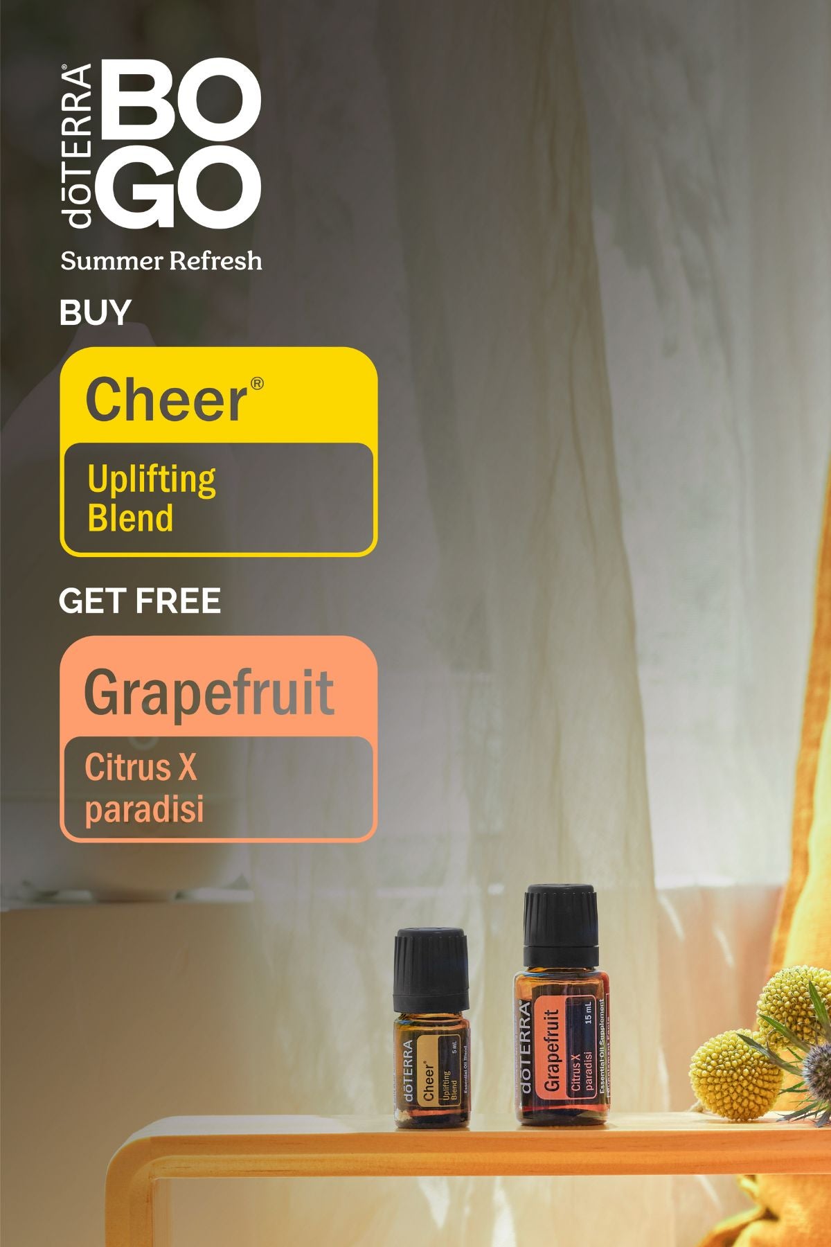 BOGO: Buy Cheer, Get Grapefruit Free