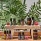 BOGO Box - Buy 5 Products, Get 7 Products Free
