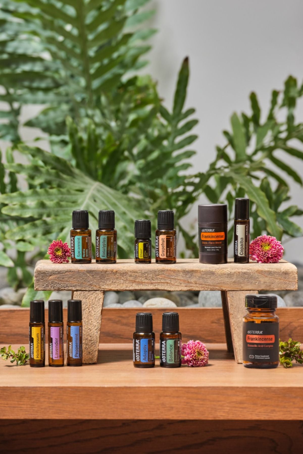 BOGO Box - Buy 5 Products, Get 7 Products Free