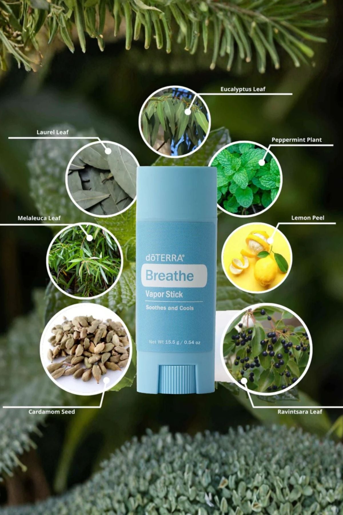 doTERRA Breathe Vapor Stick