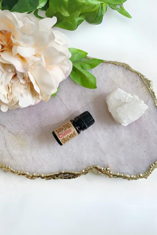 doTERRA ドテラ　シスタス doTERRA Cistus Essential Oil | dōTERRA – Home Essential Oils