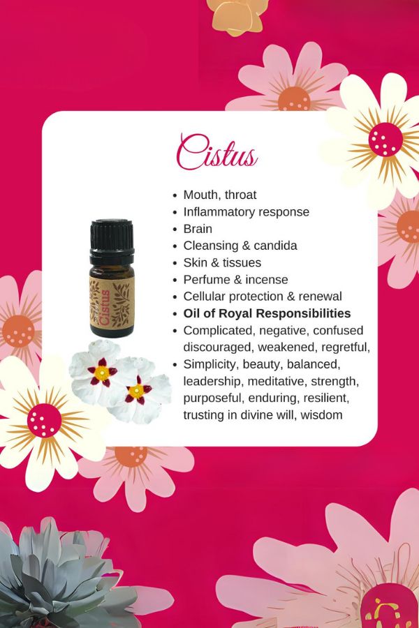 doTERRA ドテラ　シスタス doTERRA Cistus Essential Oil | dōTERRA – Home Essential Oils