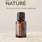 doTERRA Desert Sand essential oil bottle on a sandy background with 'Spirit of Nature' text.