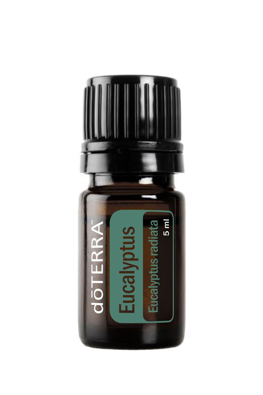 A 5 ml bottle of doTERRA Eucalyptus essential oil on a solid white background. The bottle is made of dark amber glass with a black ribbed cap and features a label with a teal-green background and white text.