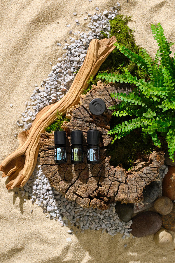 doTERRA Magnetic Car Clip Diffuser and Woodland Trio