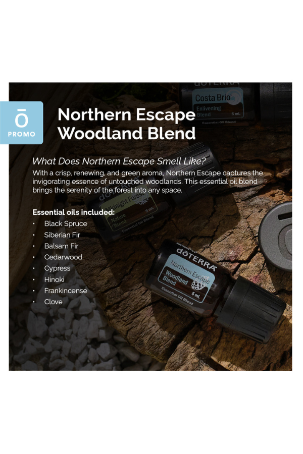 doTERRA Magnetic Car Clip Diffuser and Woodland Trio | doTERRA doTERRA Magnetic Car Clip Diffuser and Woodland Trio | doTERRA