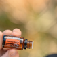 doTERRA Portable Pilot Diffuser with Harvest Spice