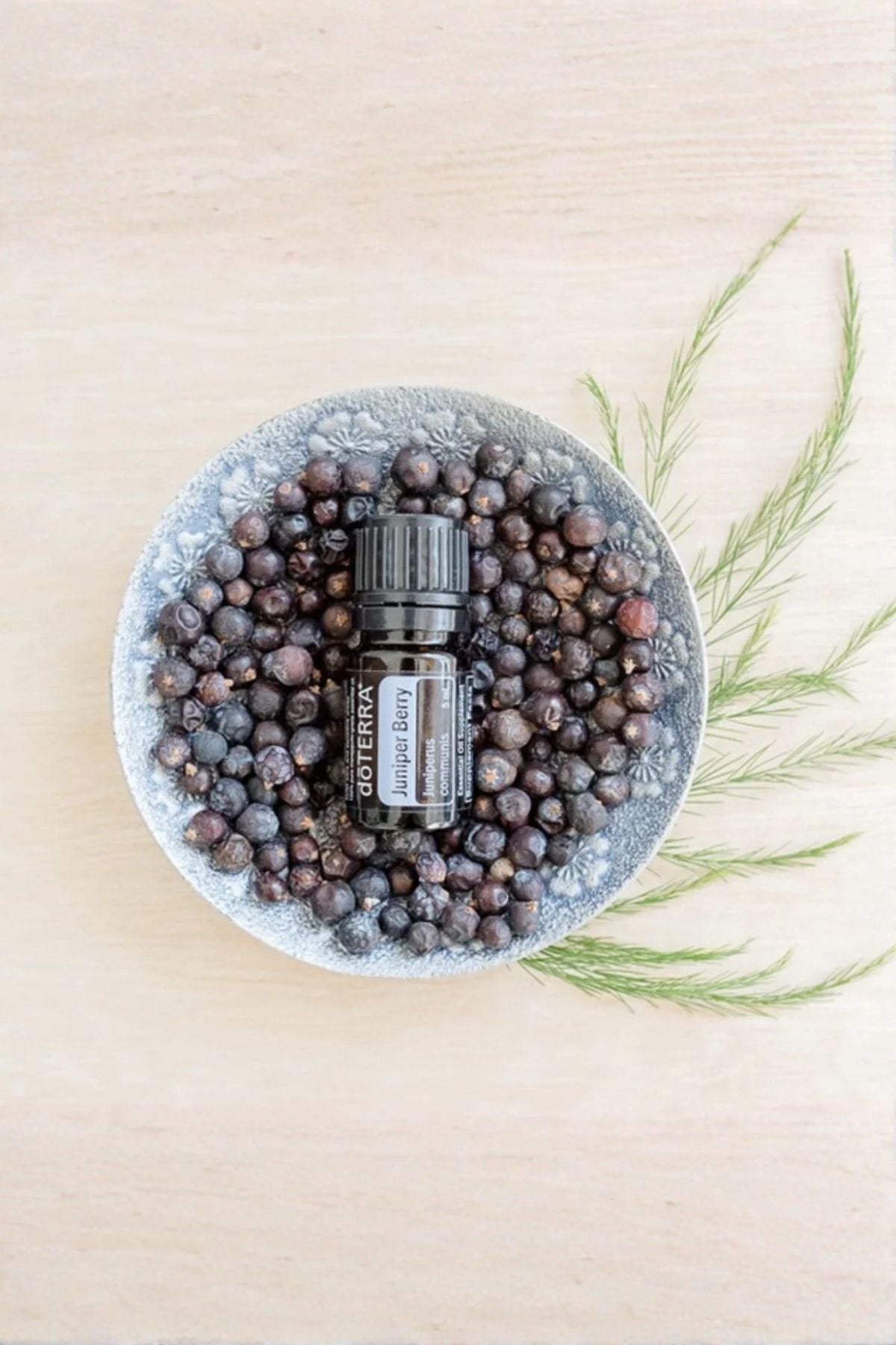 A small black essential oil bottle labeled doTERRA SCULPTOR sits on top of a bowl filled with dark dried botanicals, arranged on a light wood surface with green sprigs beside it. doTERRA Juniper Berry Essential Oil
