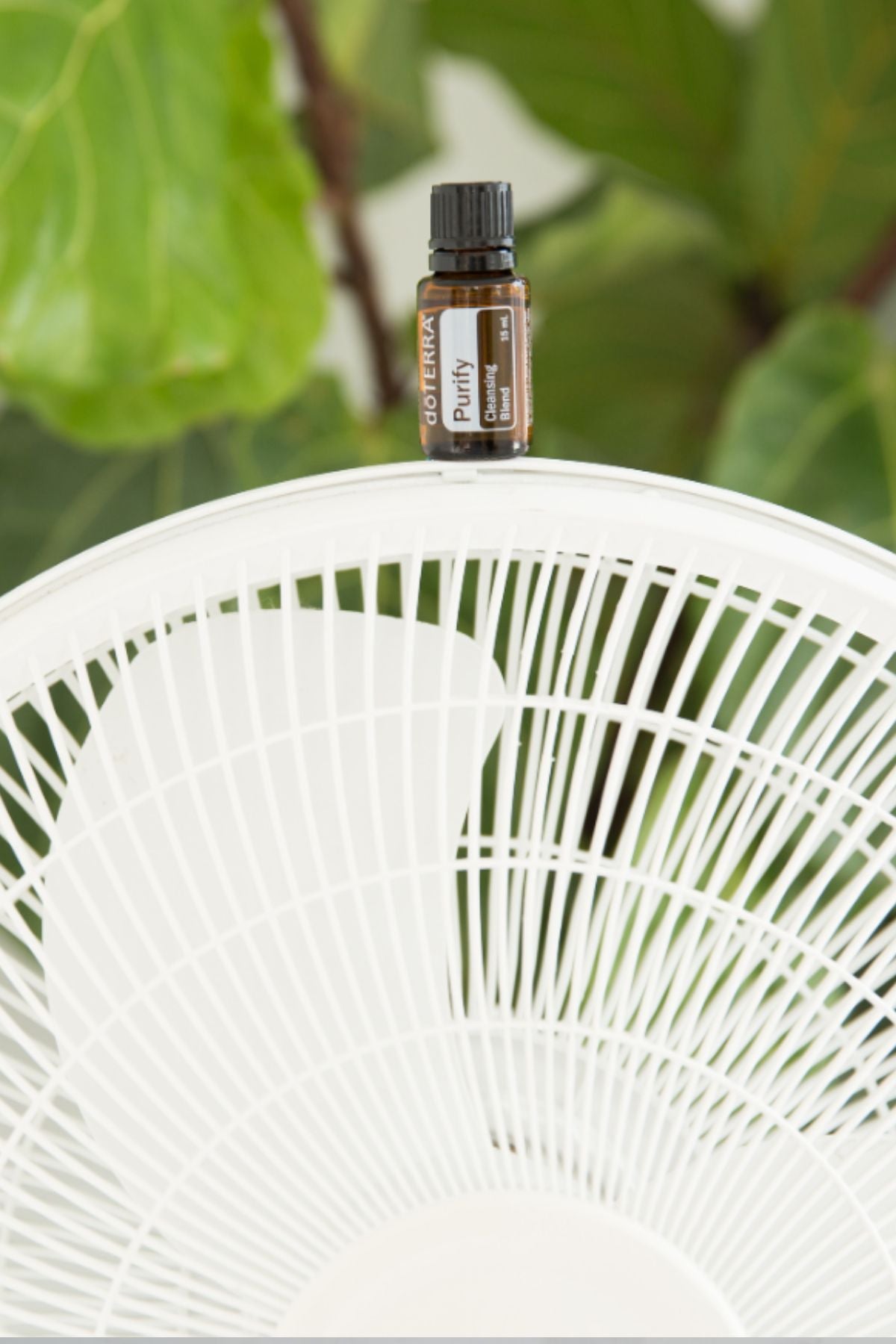 doTERRA Purify Cleansing Blend