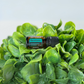 doterra ravintsara essential oil