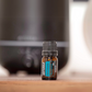 doterra ravintsara essential oil