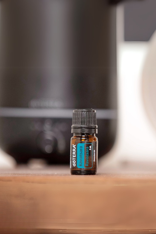 doterra ravintsara essential oil