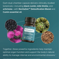 doTERRA RevitaZen Detoxification Complex