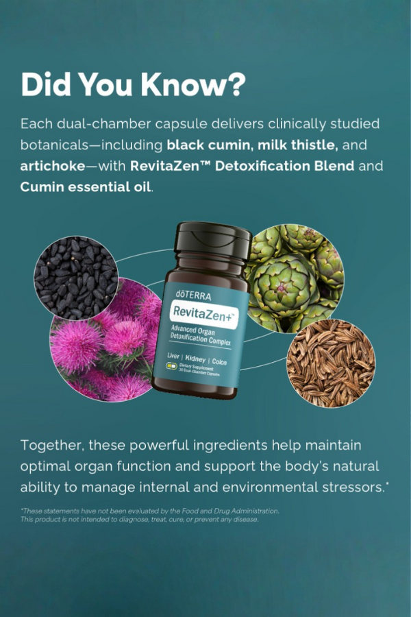 doTERRA RevitaZen Detoxification Complex