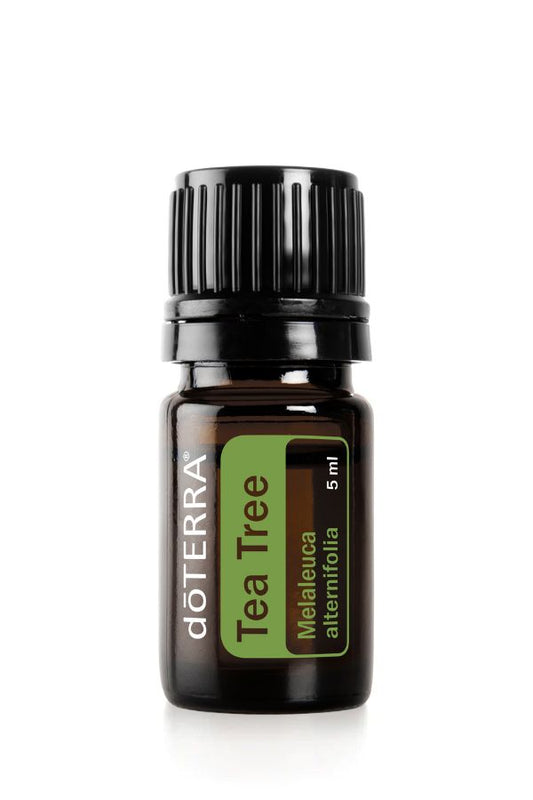 doTERRA Tea Tree (Melaleuca) Essential Oil 5 mL
