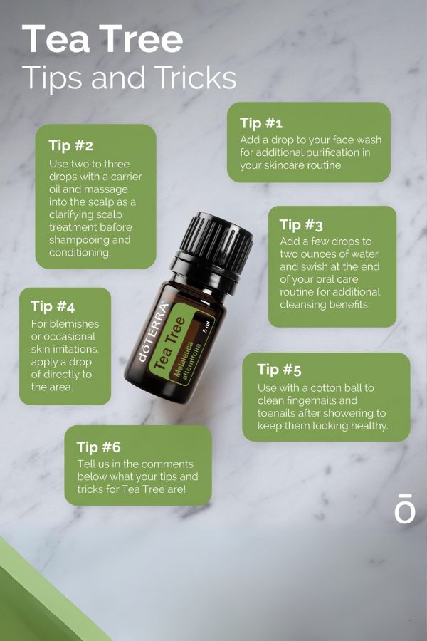 doTERRA Tea Tree (Melaleuca) Essential Oil | dōTERRA – Home