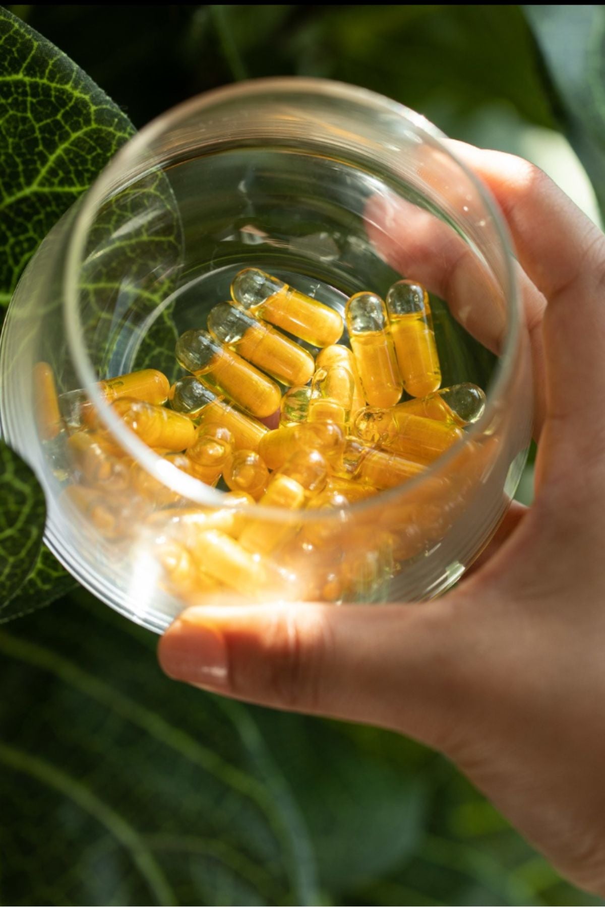 doTERRA Turmeric Dual Chamber Capsules