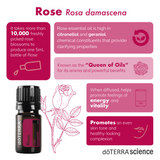 doTERRA Rose Infographic