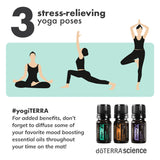doTERRA Yoga Collection Infographic