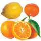 doTERRA Citrus Bliss Invigorating Blend - doTERRA