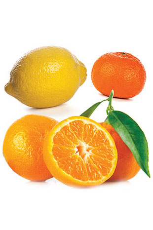 doTERRA Citrus Bliss Invigorating Blend - doTERRA