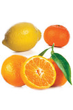 doTERRA Citrus Bliss Invigorating Blend - doTERRA