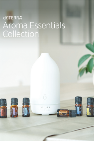 Aroma essentials hot sale products