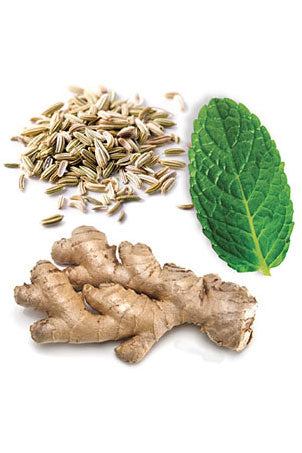 doTERRA DigestZen Digestive Blend | dōTERRA Essential Oils