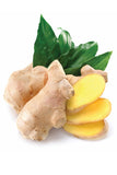 doTERRA Ginger Essential Oil - doTERRA