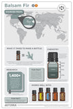 doTERRA Balsam Fir Essential Oil Infographic