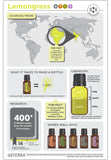 doTERRA Lemongrass Essential Oil