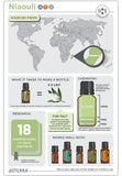 doTERRA Niaouli Essential Oil Infographic